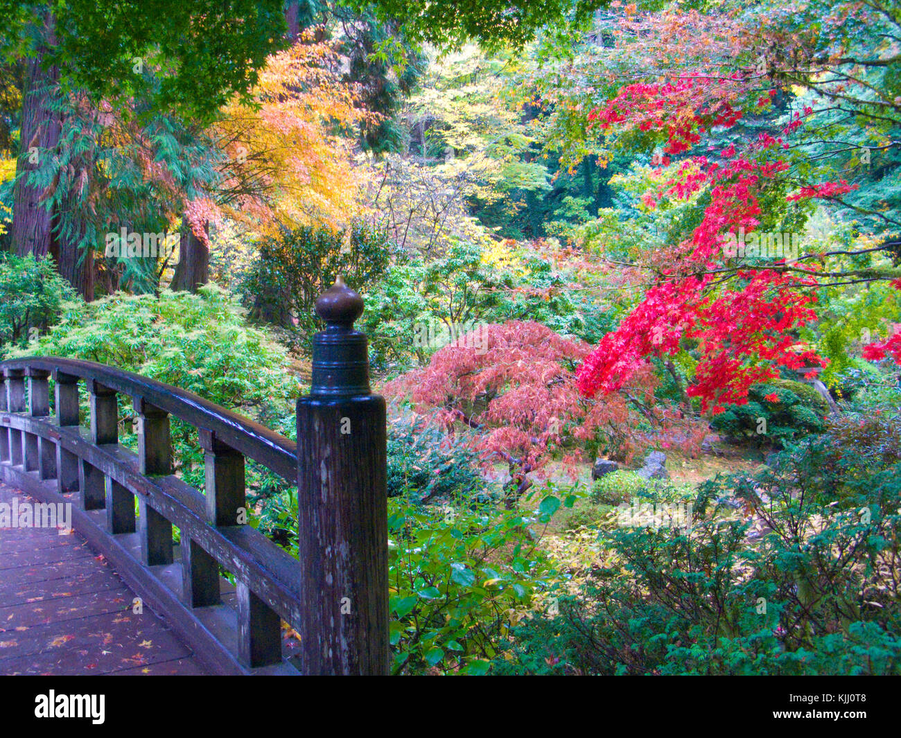 Portland Japanese Garden Stock Photo