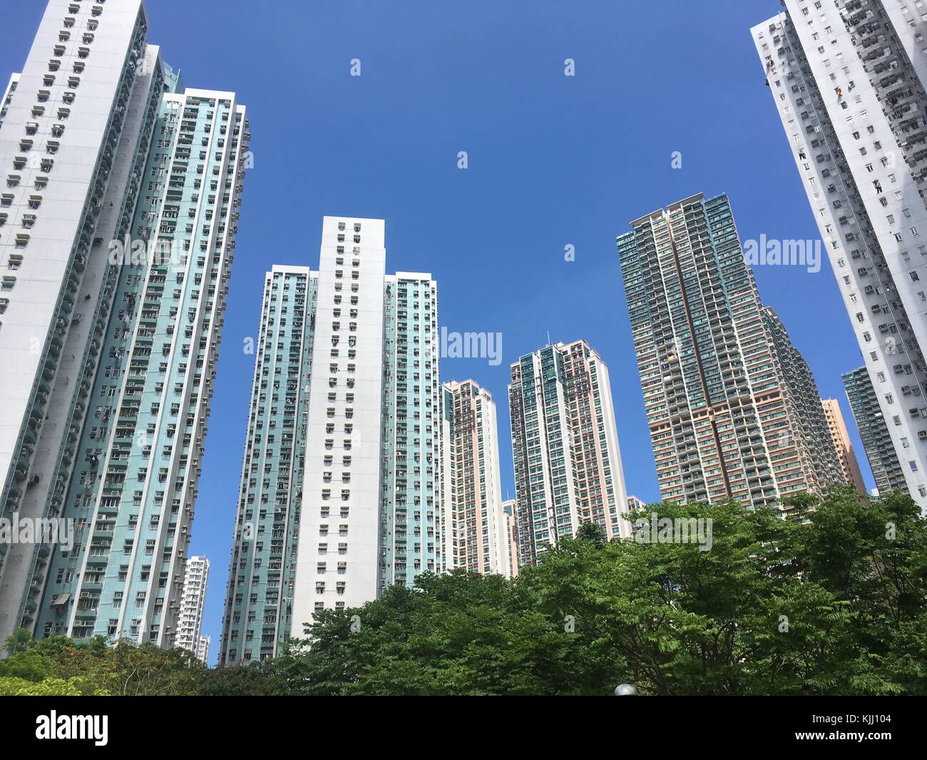 towers-building-council-flats-in-hong-kong-KJJ104.jpg