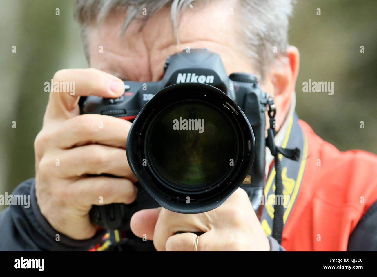Photographer using a digital camera.  France. Stock Photo