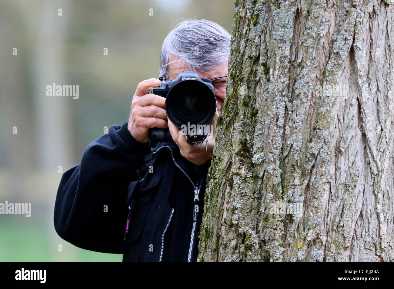 Using digital camera hi-res stock photography and images - Alamy
