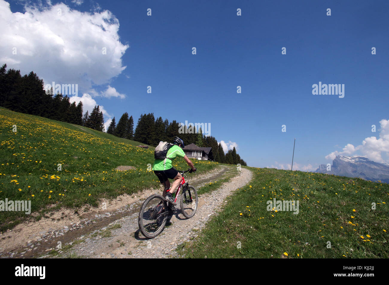 Cycling race alps hi-res stock photography and images - Alamy