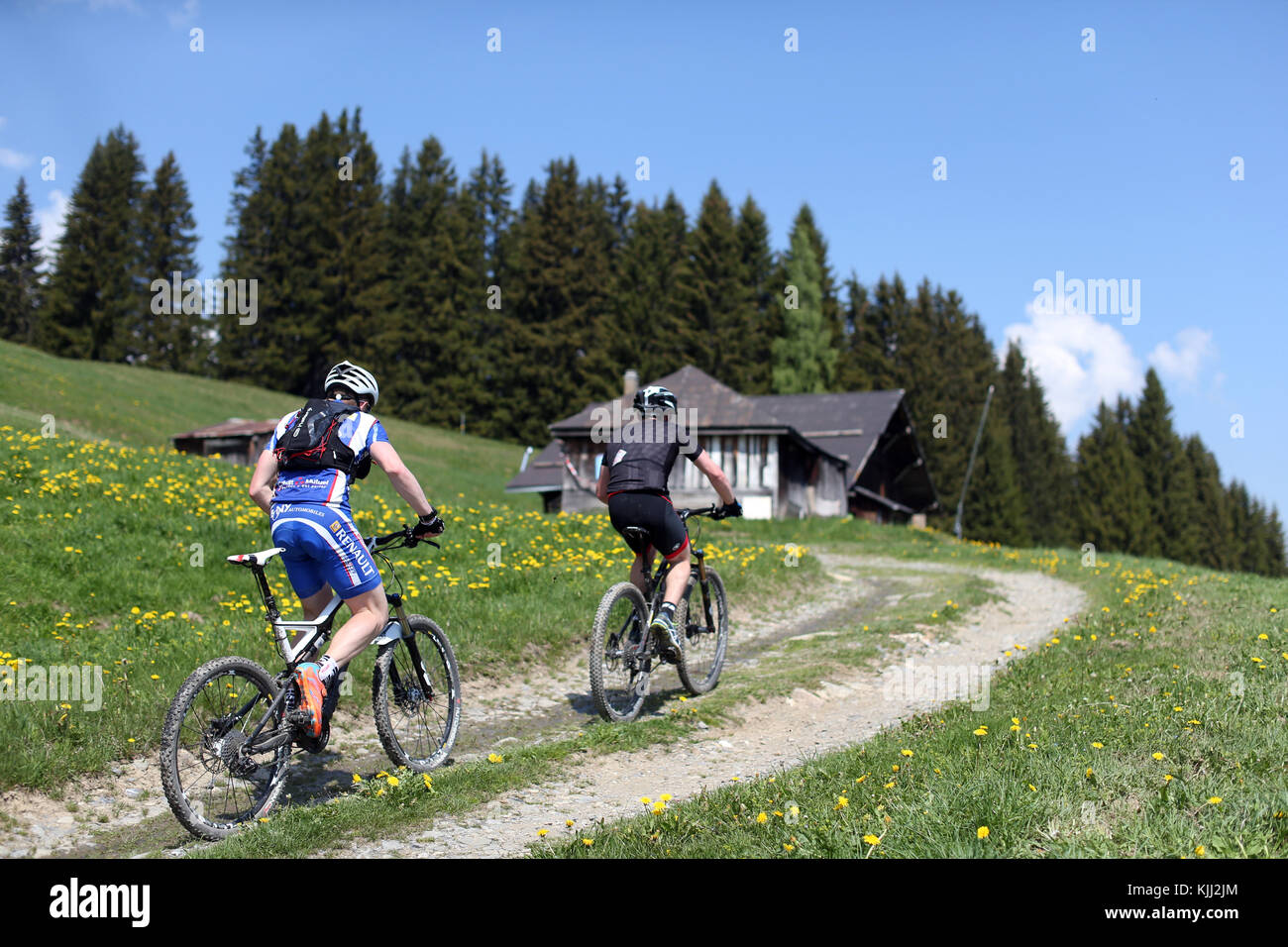 French race hi-res stock photography and images - Alamy