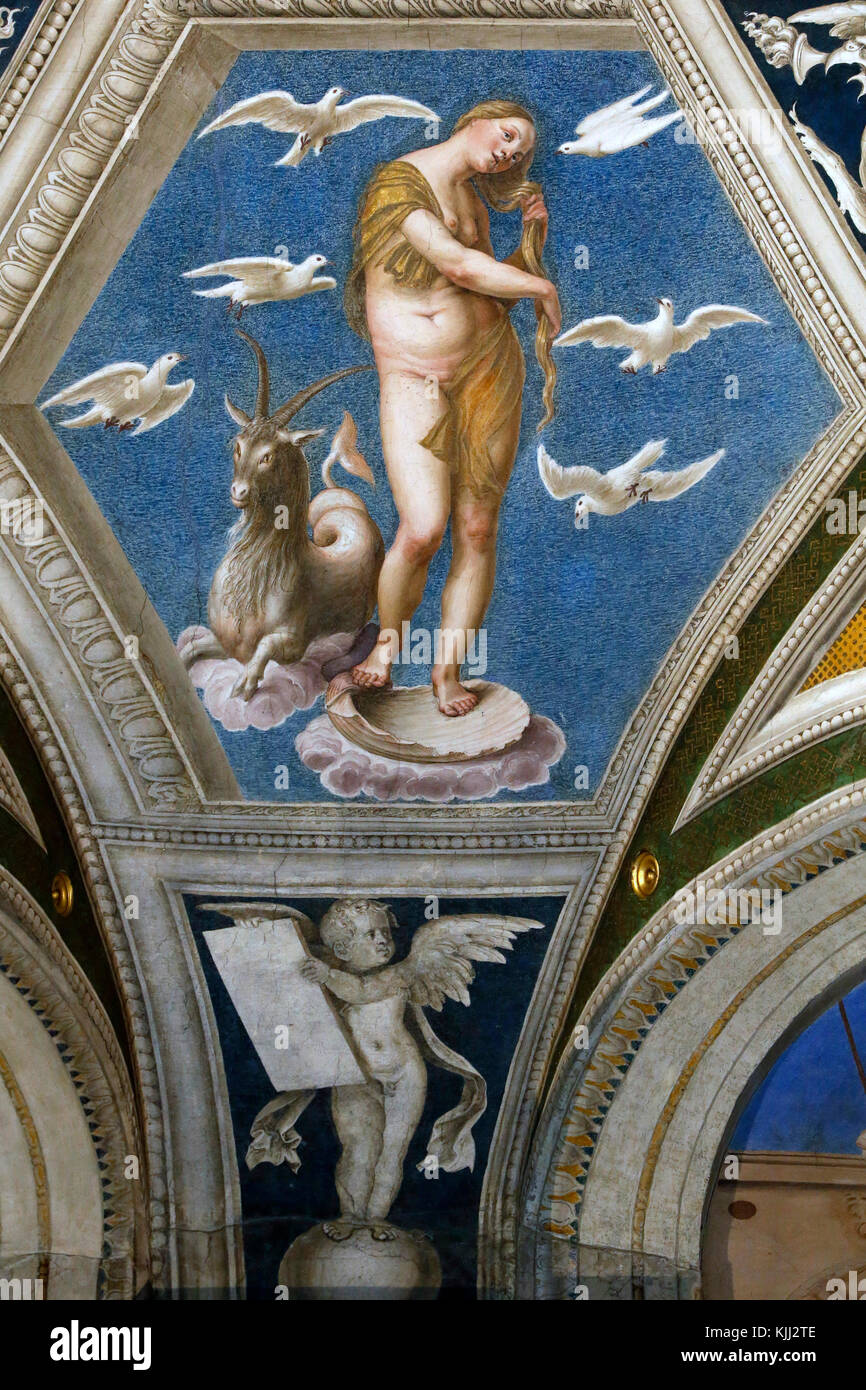 Villa Farnesina, Rome. The Loggia of Galatea. Venus in Capricorn drying her hair among a flock of doves. Italy. Stock Photo