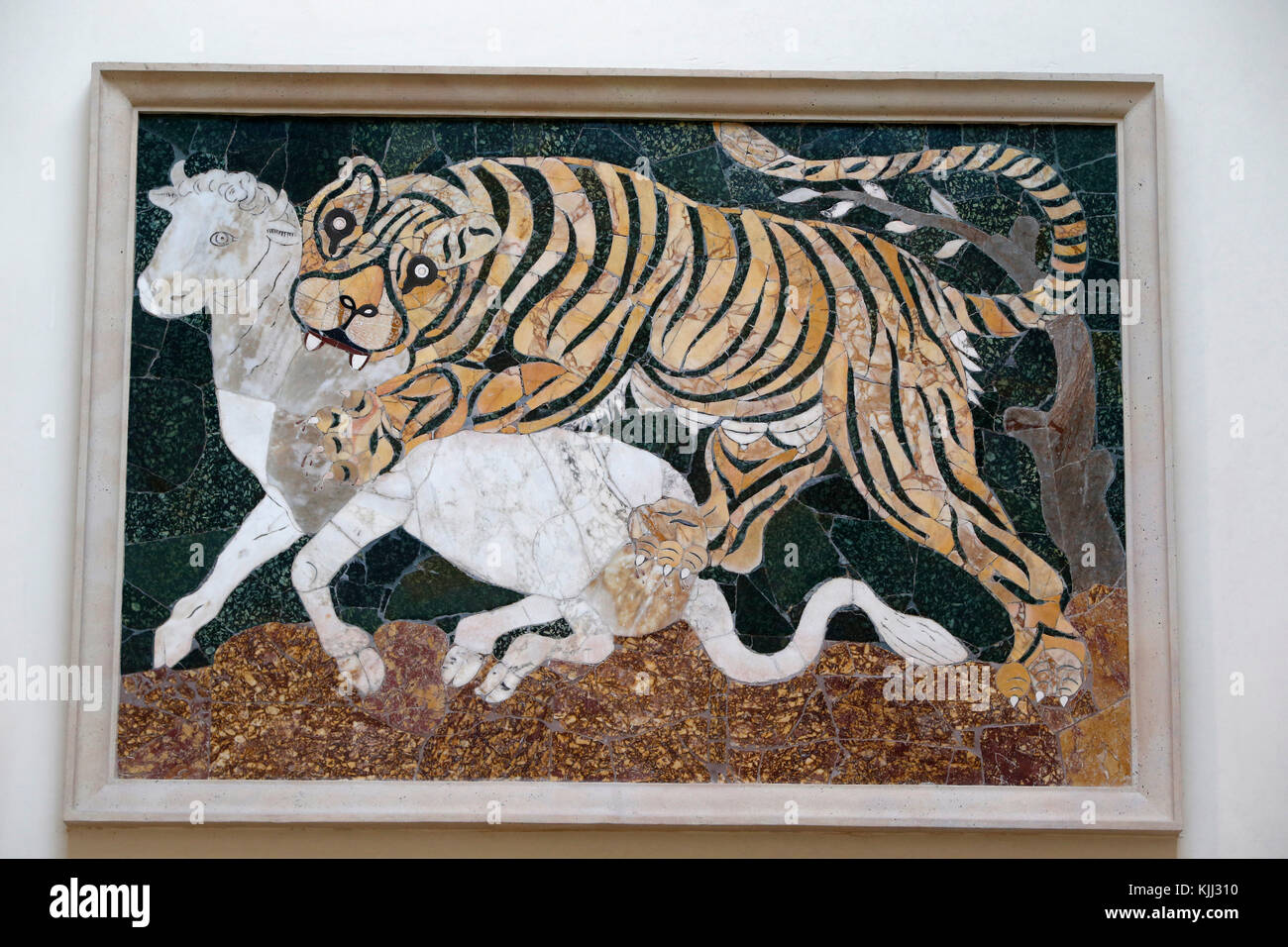Capitoline museum, Rome. Panel in opus sectile with tiger assaulting a calf. Mosaic / Intarsia. Second quarter of 4th century AD. Coloured marbles Ita Stock Photo