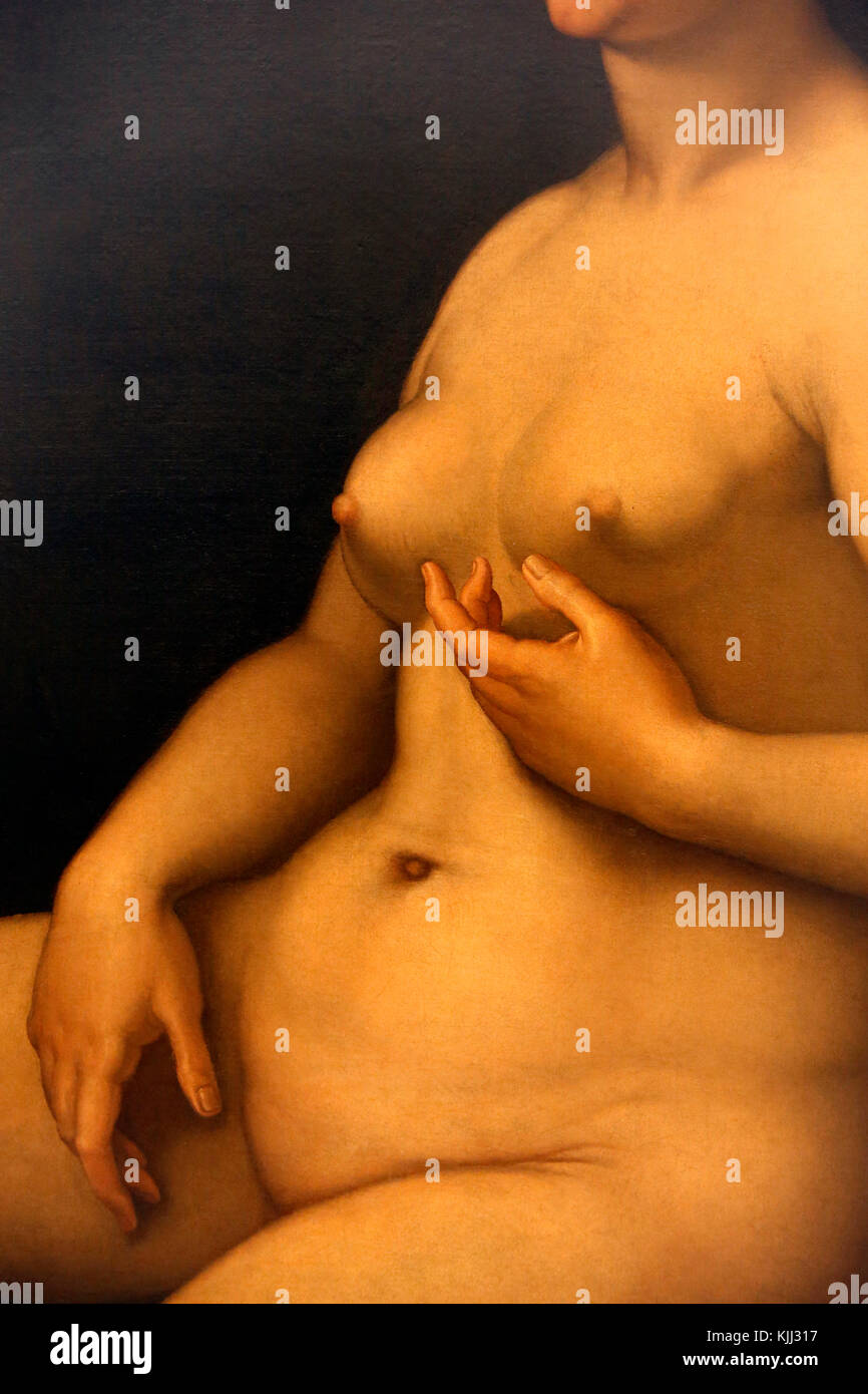 Capitoline museum, Rome. Girolamo Siciolante da Sermoneta (16th c.), portrait of a woman, oil on canvas. Detail. Italy. Stock Photo