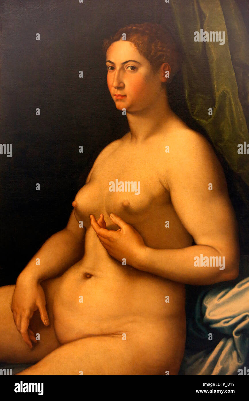 Capitoline museum, Rome. Girolamo Siciolante da Sermoneta (16th c.), portrait of a woman, oil on canvas.  Italy. Stock Photo