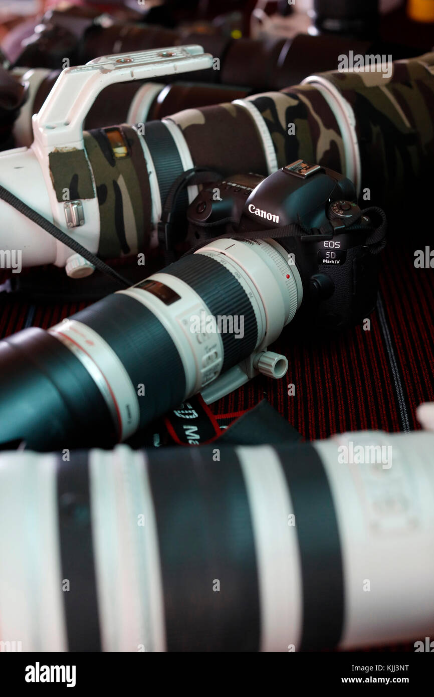 Safari photo. Canon digital cameras and lenses. Masai Mara game reserve.  Kenya Stock Photo - Alamy