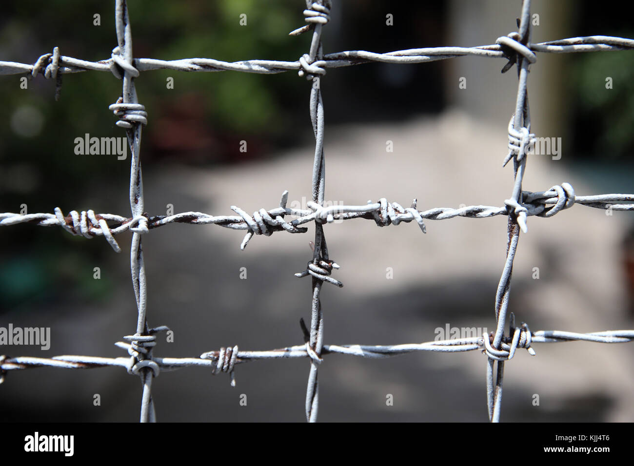 Barbed 2024 wire city