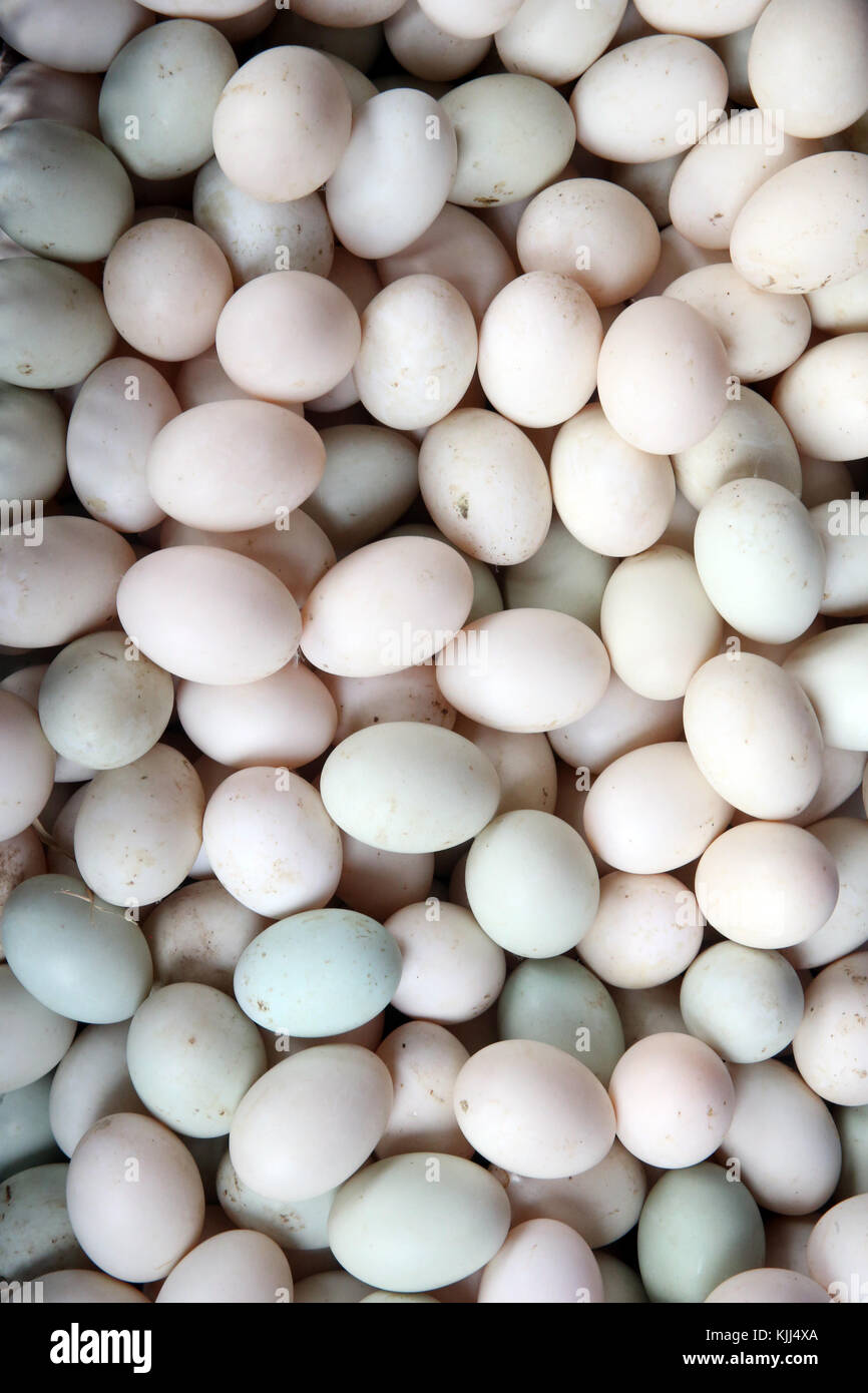 White eggs on market stall.  Thay Ninh. Vietnam. Stock Photo