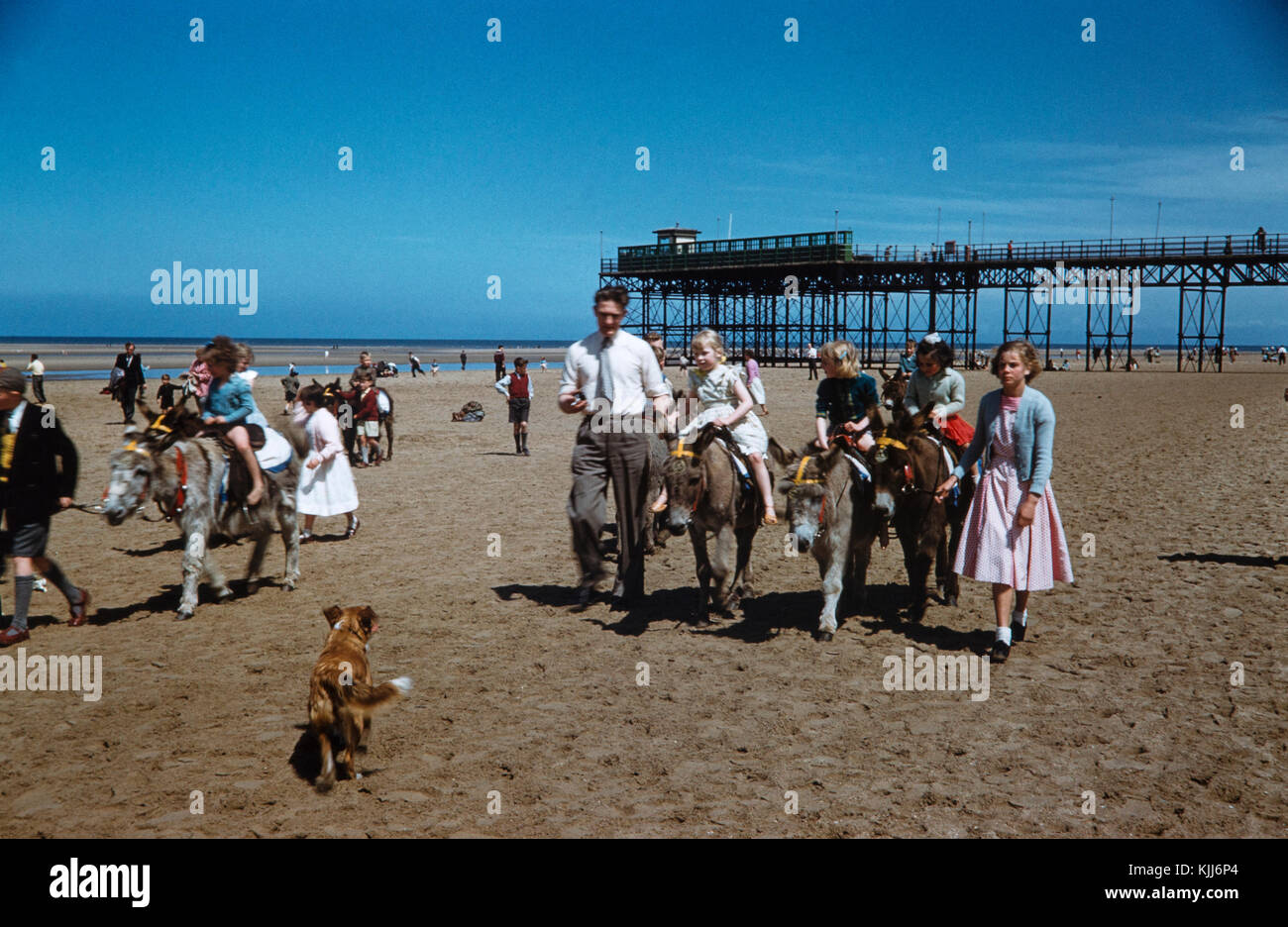 Photo taken in 1958 showing children being given rides on donkeys on the beach at Rhyl in North Wales. Stock Photo