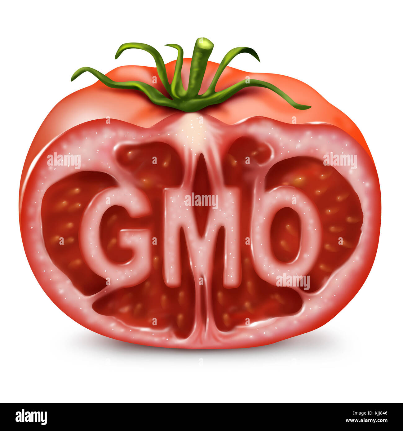 GMO food symbol as a genetically modified organism and genetic engineering in produce as a cut tomato with text inside as in a 3D illustration style. Stock Photo