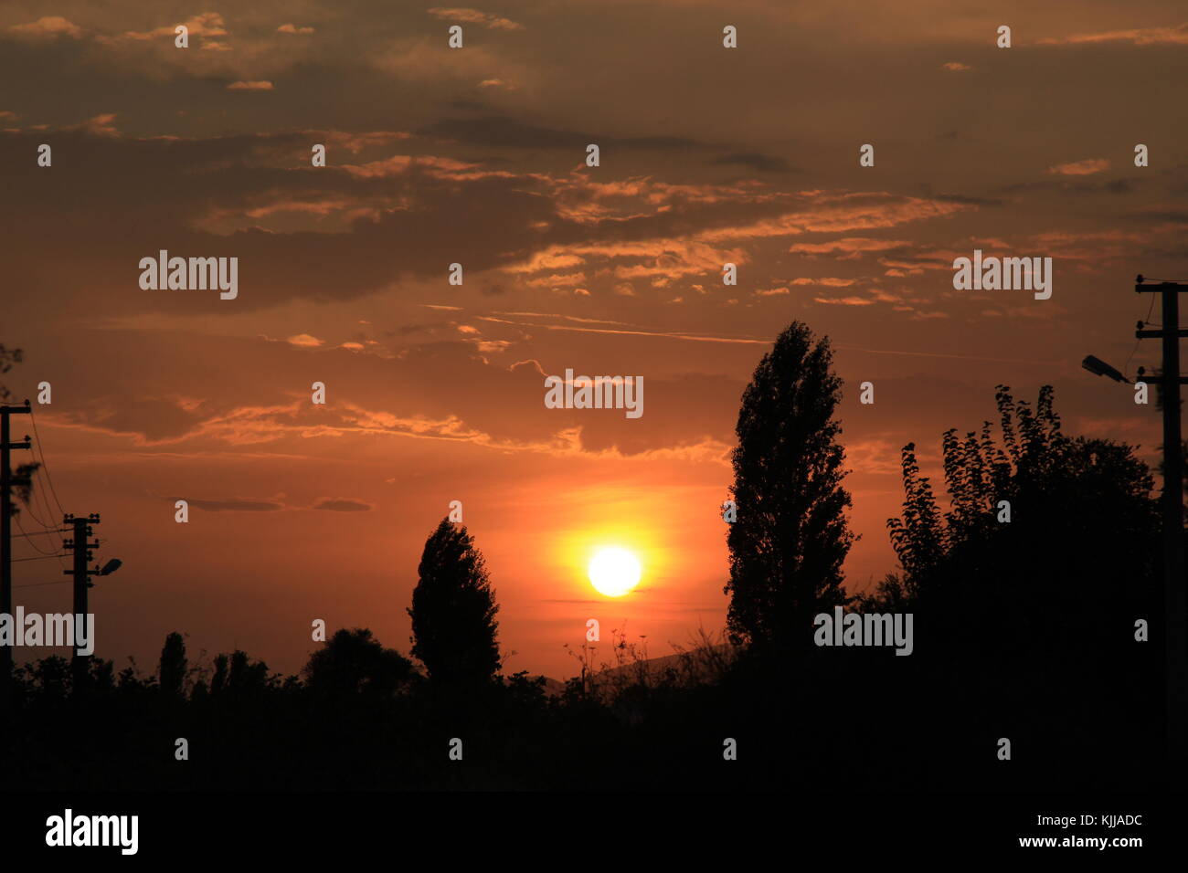 sunset with silhouette of trees and buildings Stock Photo - Alamy