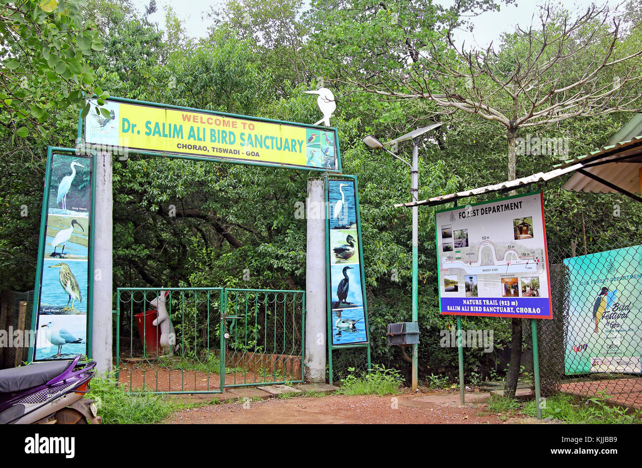 Entrance to nature trail through mangrove forest at Dr. Salim Ali Bird Sanctuary in Chorao Island, Goa, India. The entrance is next to Chorao jetty Stock Photo