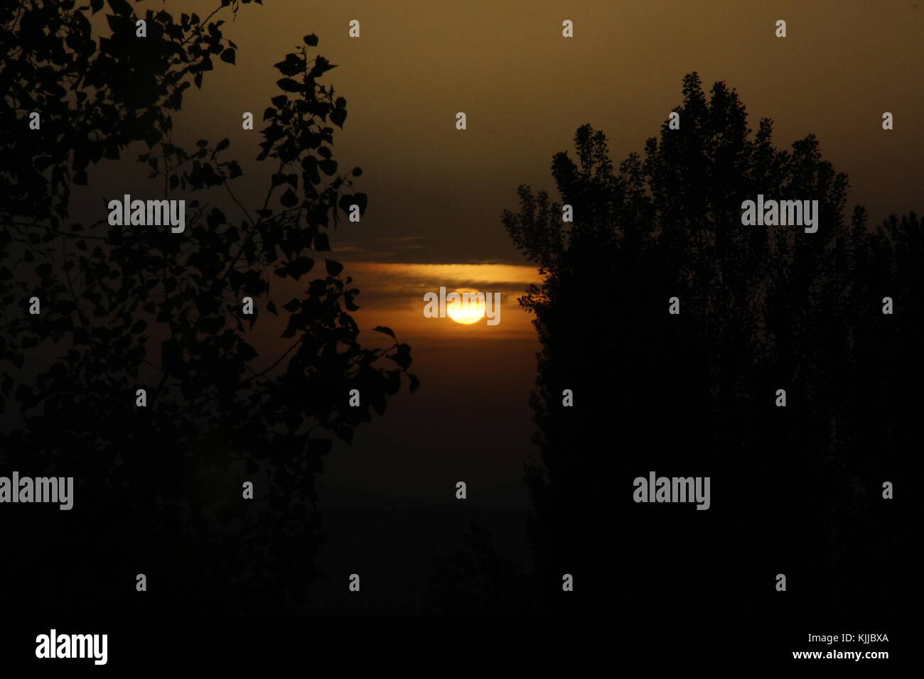sunset with silhouette of trees and buildings Stock Photo - Alamy