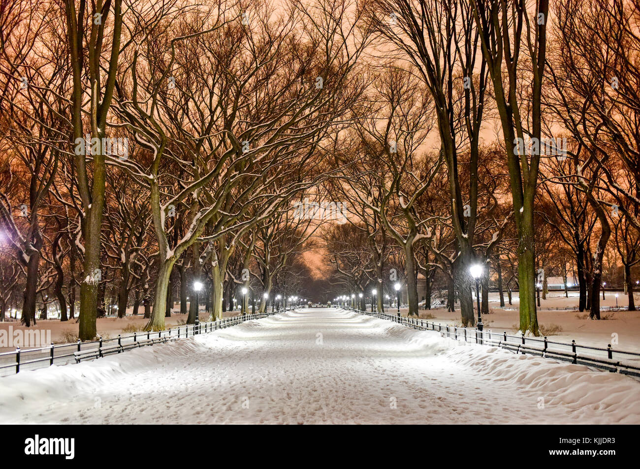 Central Park at night during the winter in New York City Stock Photo