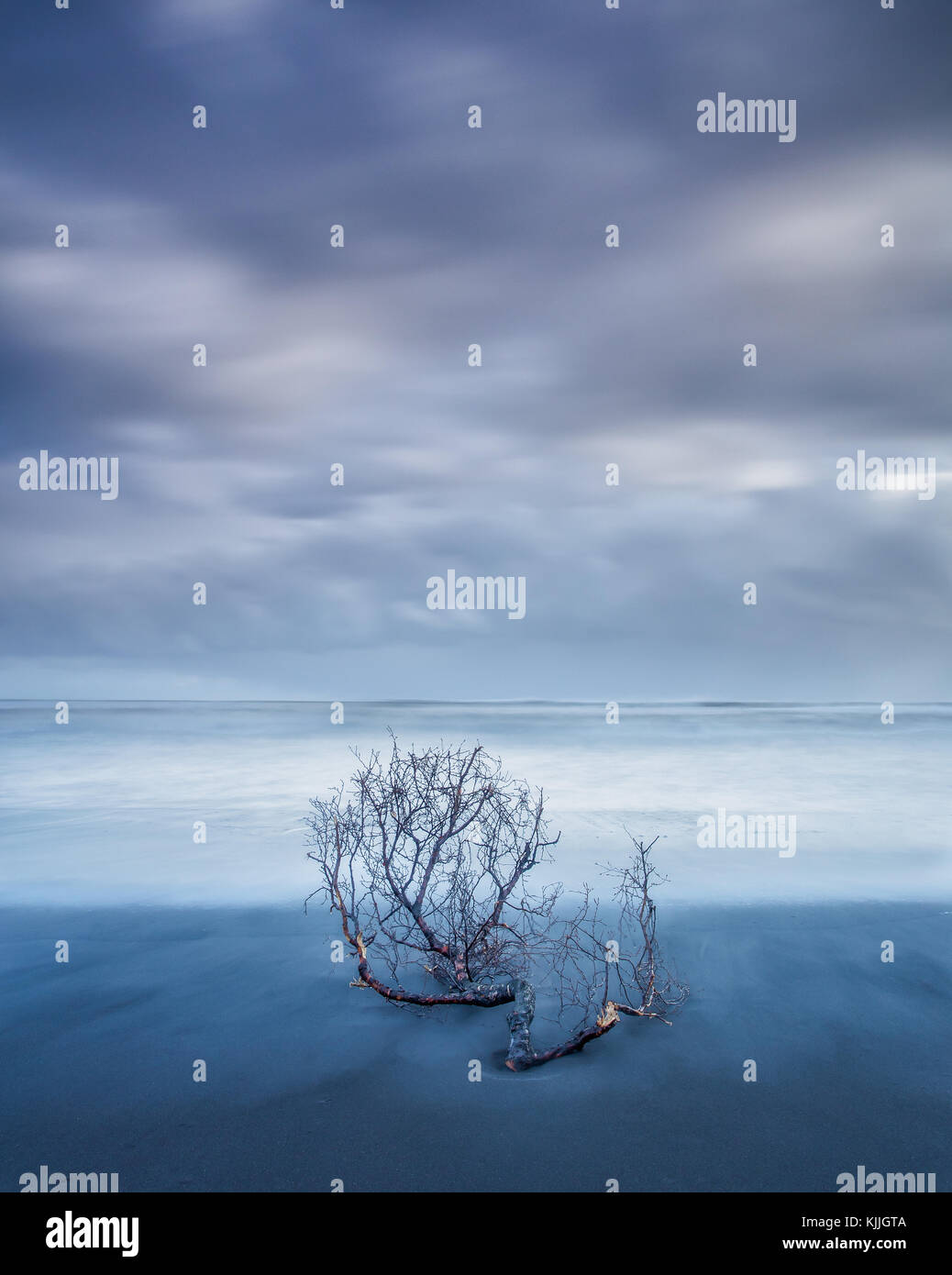 Long exposures with the branch that had been swept ashore during the morning storm Stock Photo