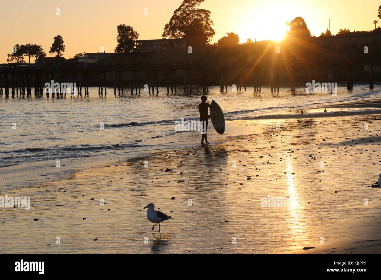 Silhouette of young male surfer on the beach at sunset Stock Photo - Alamy