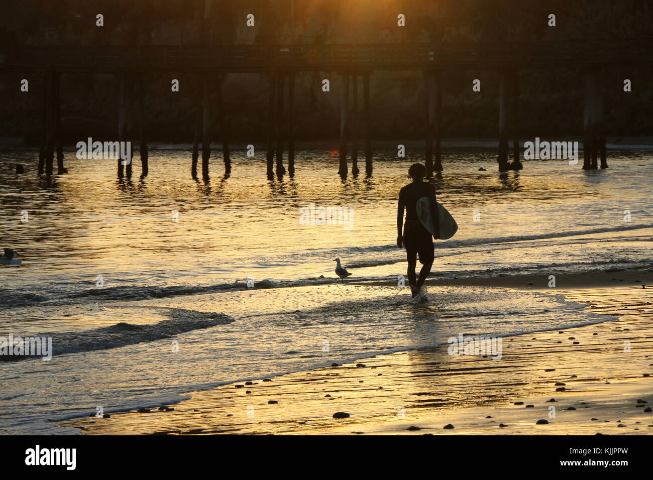 Silhouette of young male surfer on the beach at sunset Stock Photo - Alamy
