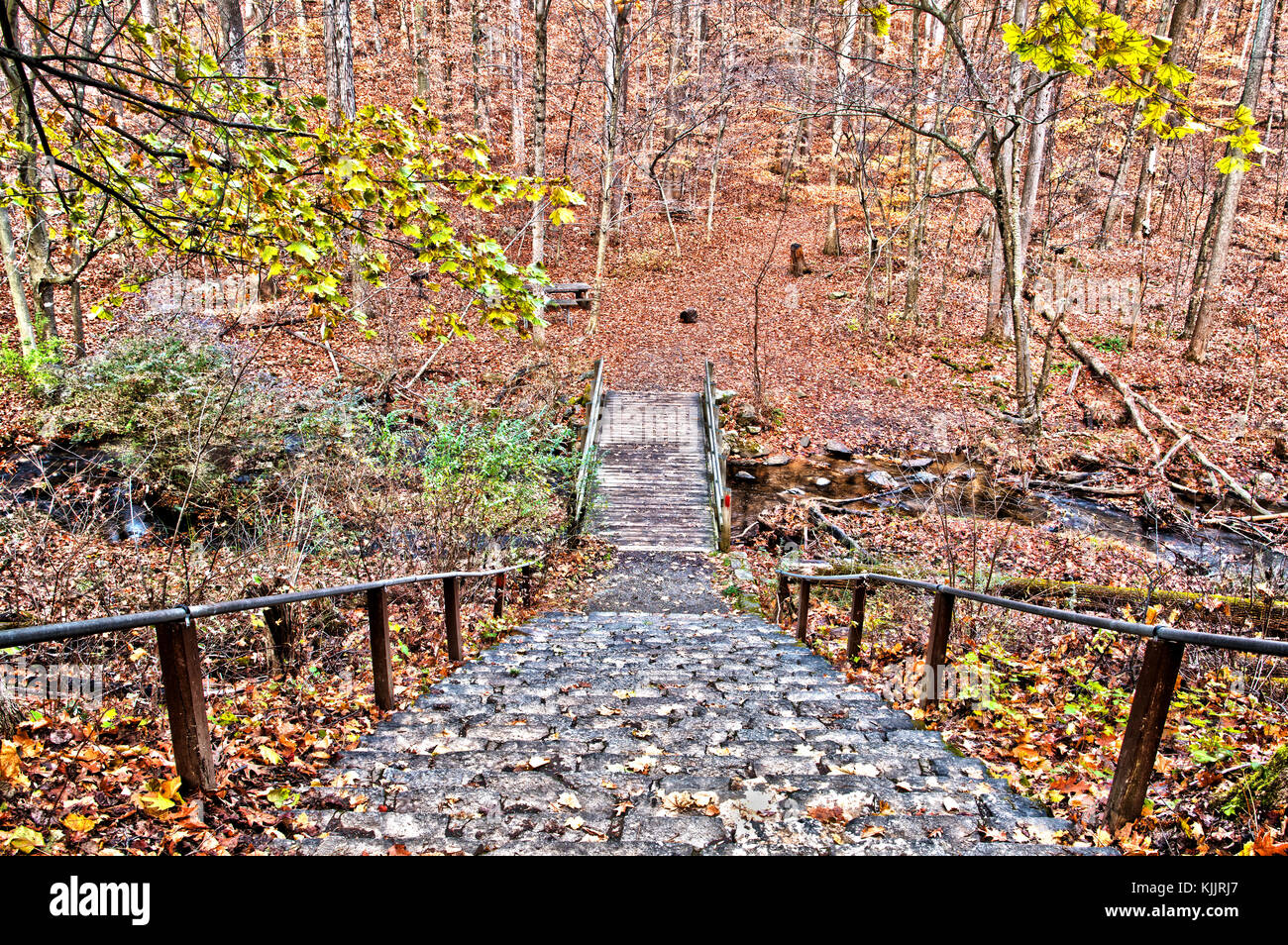 High Dynamic Range autumn background. Black River Park, New Jersey Stock Photo