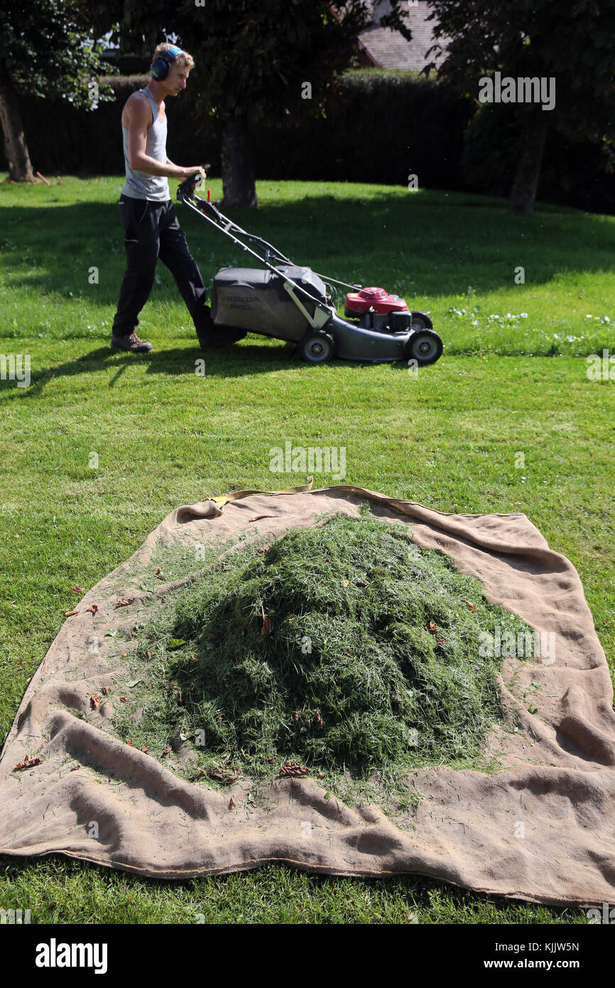 Man mowing the lawn.  France. Stock Photo
