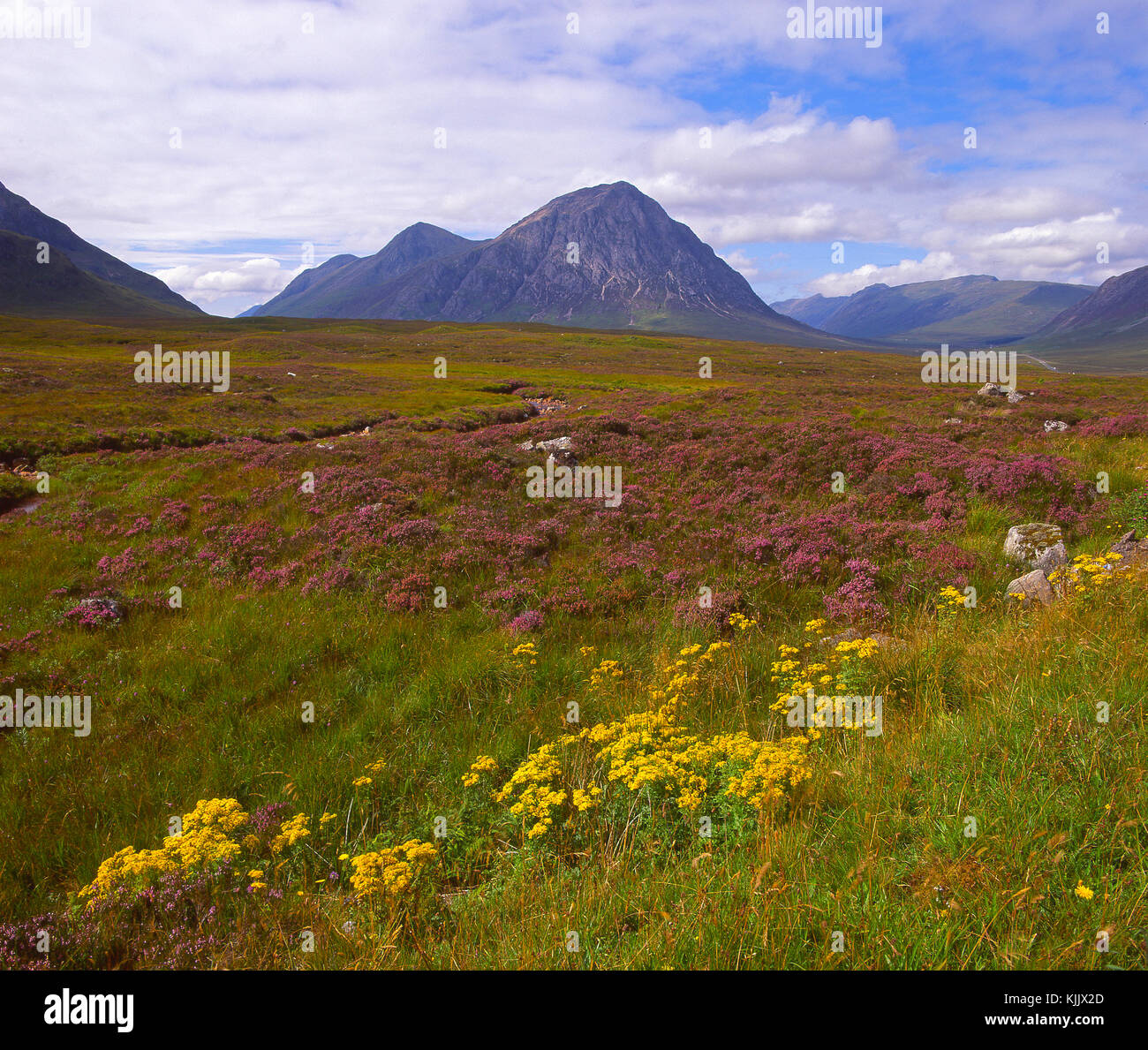 Rugged scenery on Rannoch Moor with Buchaille Etive Mhor in view, West Highlands Stock Photo