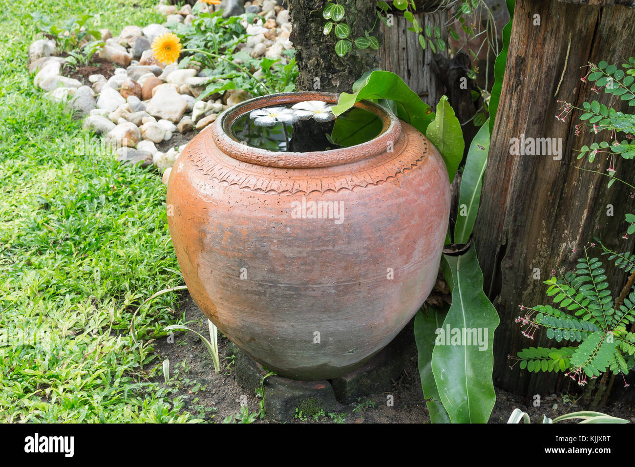 earthen jar in the garden, earthen water jar, garden props,Ancient Thai