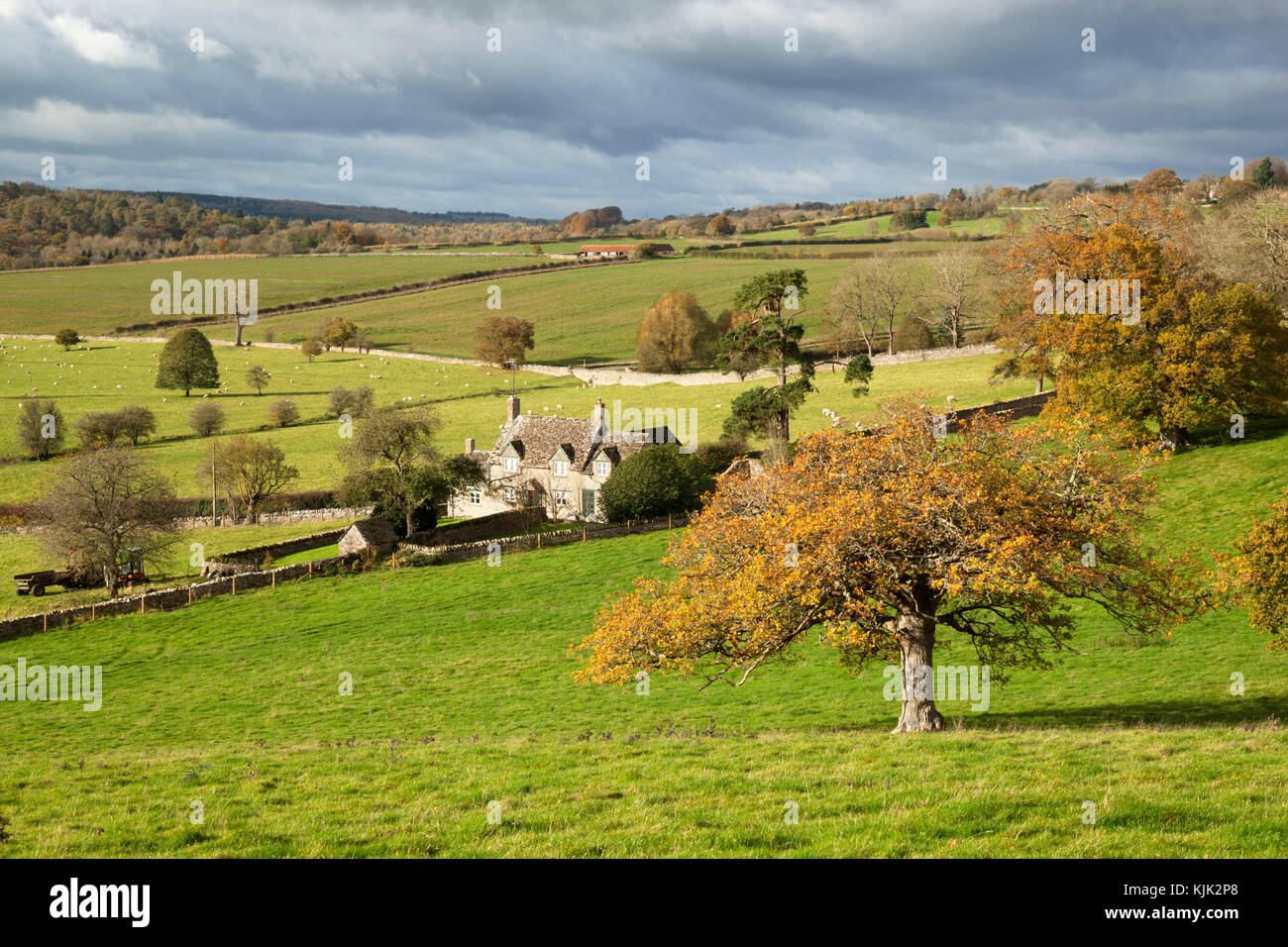 Cotswold stone farmhouse set in Cotswold landscape in autumn, Stowell, Cotswolds, Gloucestershire, England, United Kingdom, Europe Stock Photo
