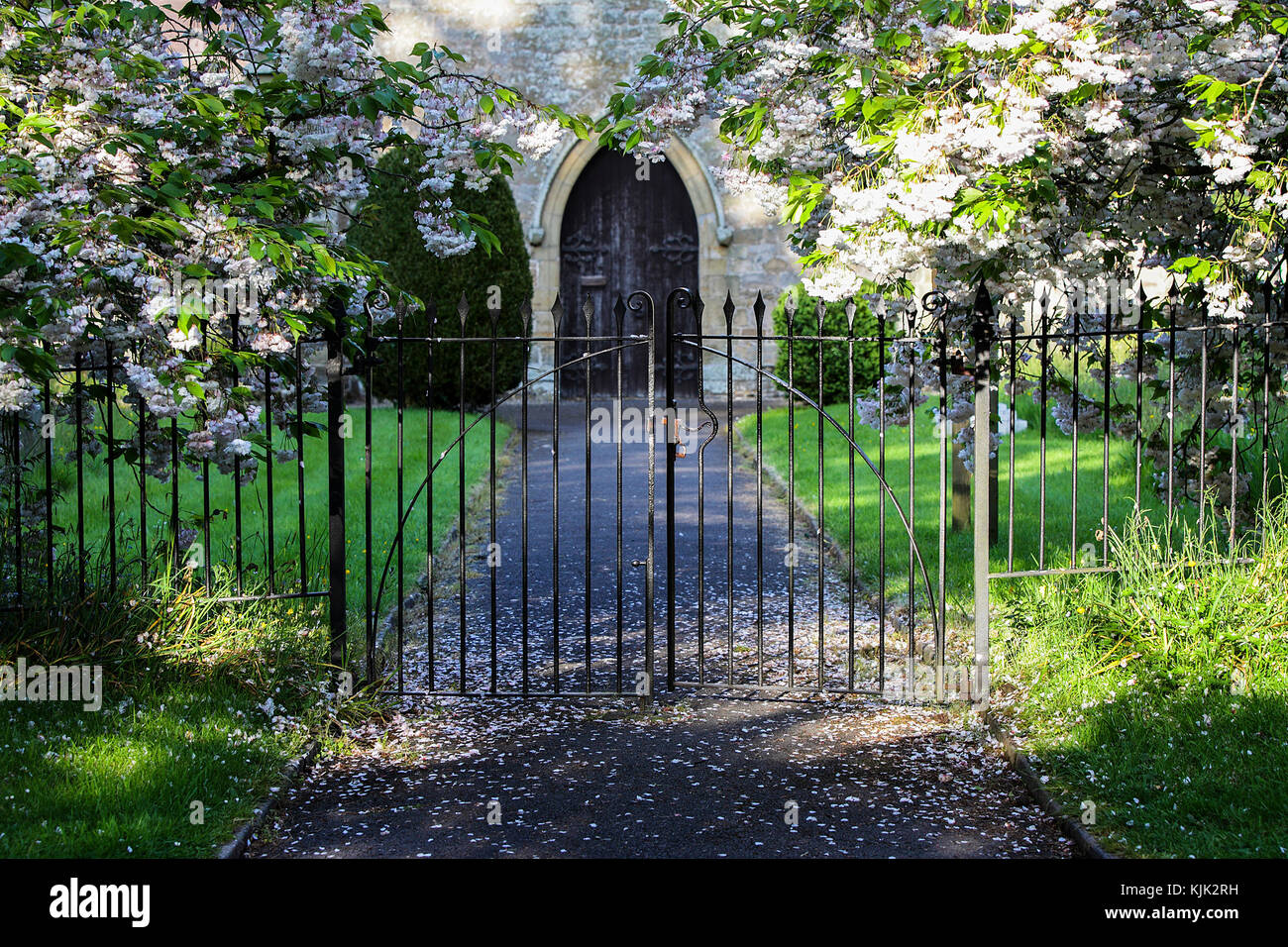 The Gates to St Marys' Church in Acton Burnell with Spring blossoms. Stock Photo