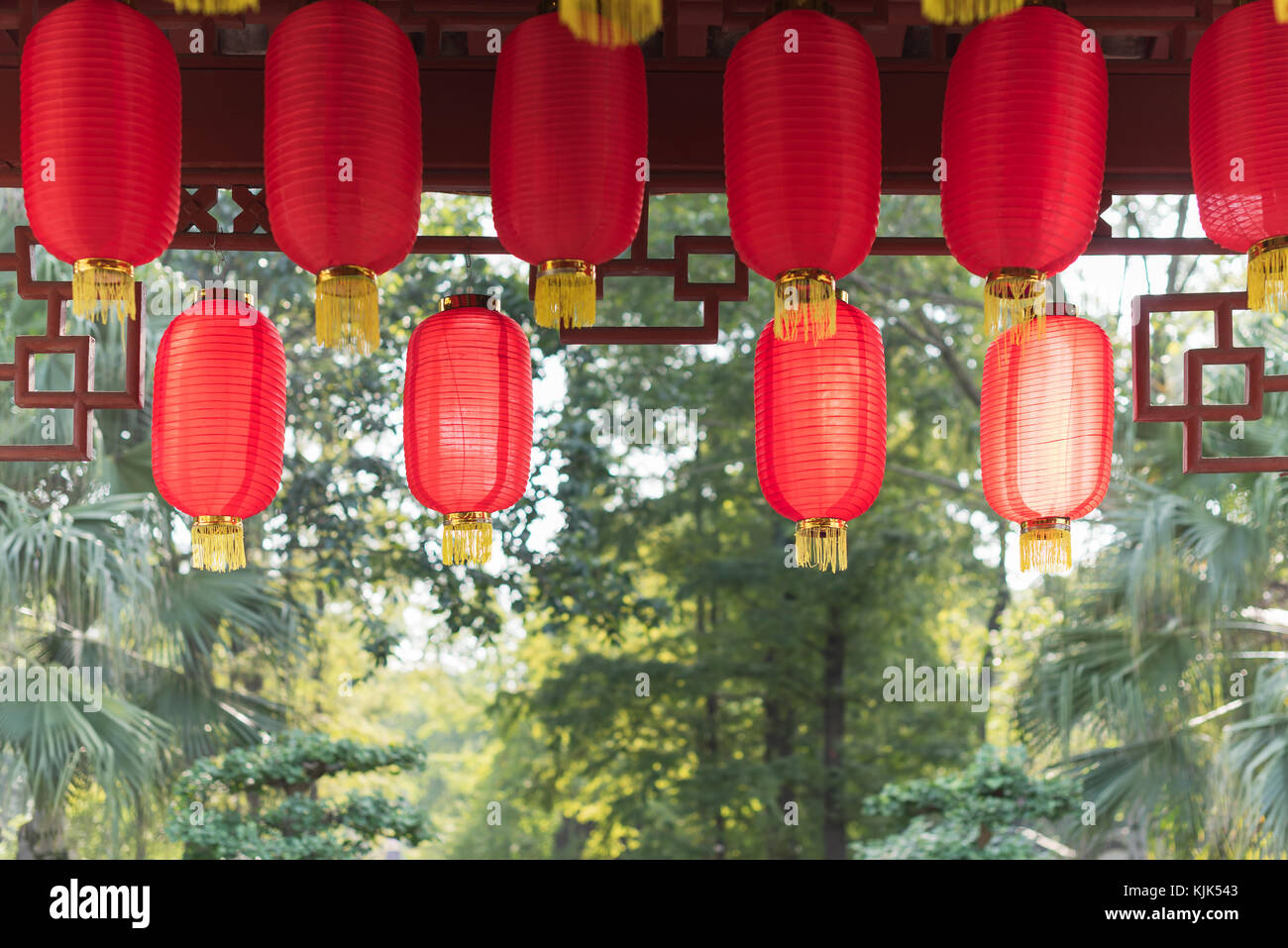 Red chinese lanterns hanging with trees in sunlight in the backg Stock Photo
