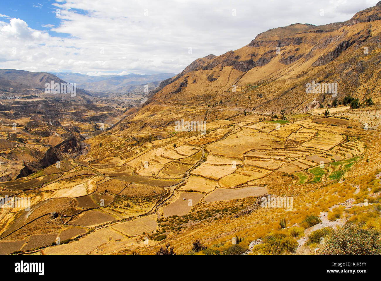 Colcas Inca Colca Canyon, Peru, South America. The Incas built farming terraces ...