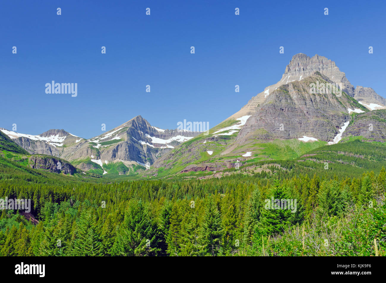 Swiftcurrent Pass are in Glacier National Park Stock Photo Alamy