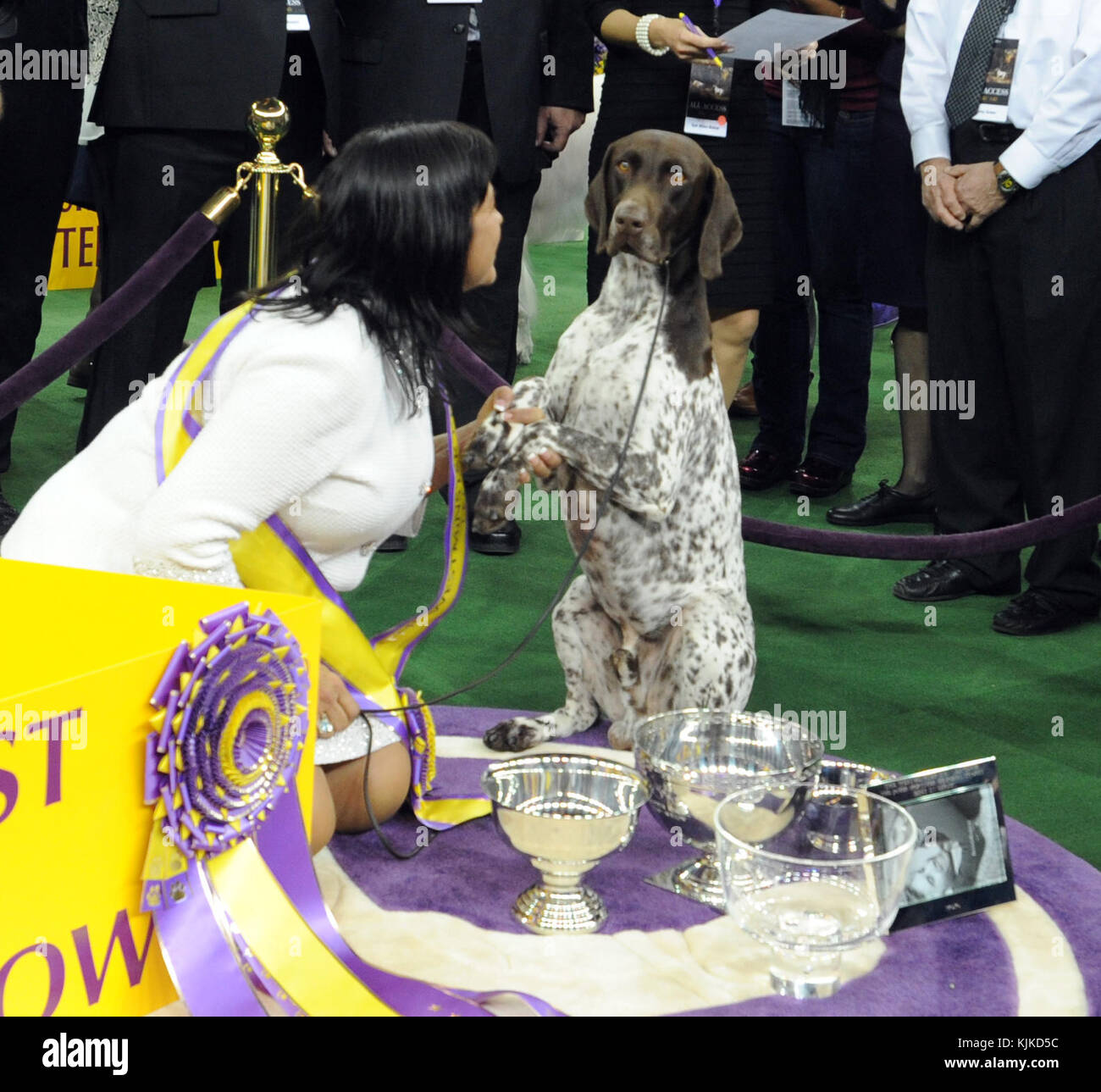 New York New York February 16 Handler Valerie Nunes Atkinson