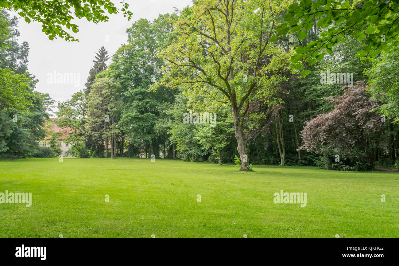 idyllic park scenery with trees and grass at summer time Stock Photo