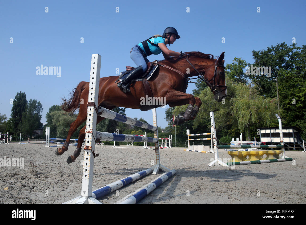 Horse jumping.  Switzerland. Stock Photo