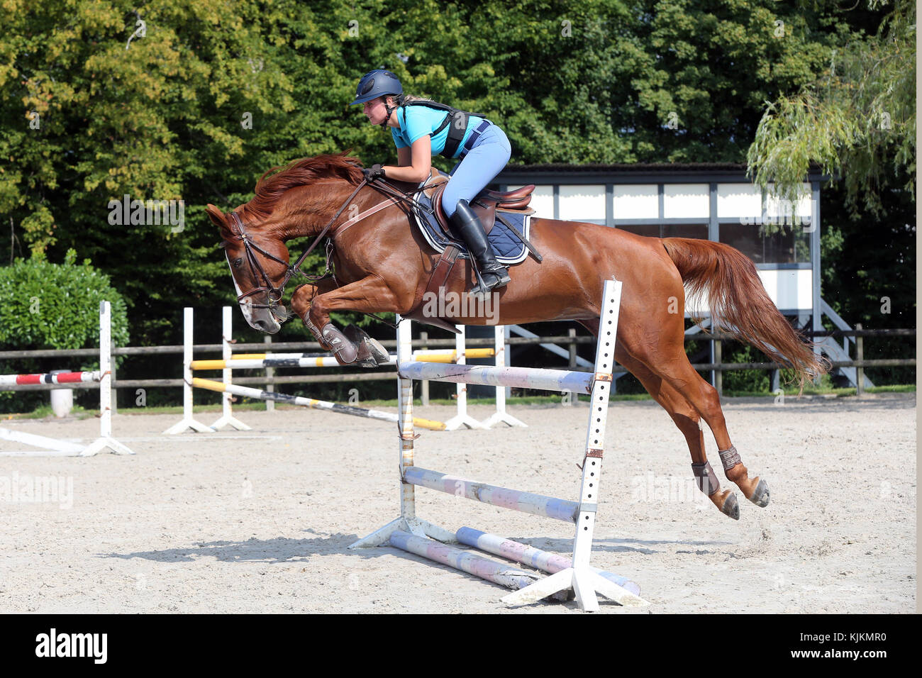 Horse jumping.  Switzerland. Stock Photo