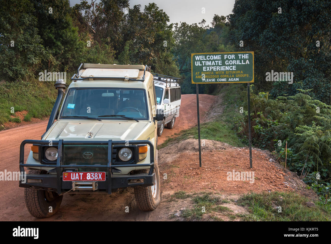 Bwindi Impenetrable National Park, Uganda. Safari vehicles. Stock Photo