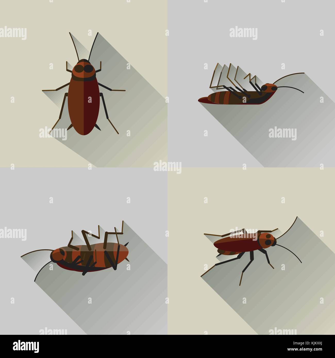 Featured image of post Silhouette Cockroach Vector Affordable and search from millions of royalty free images photos and vectors