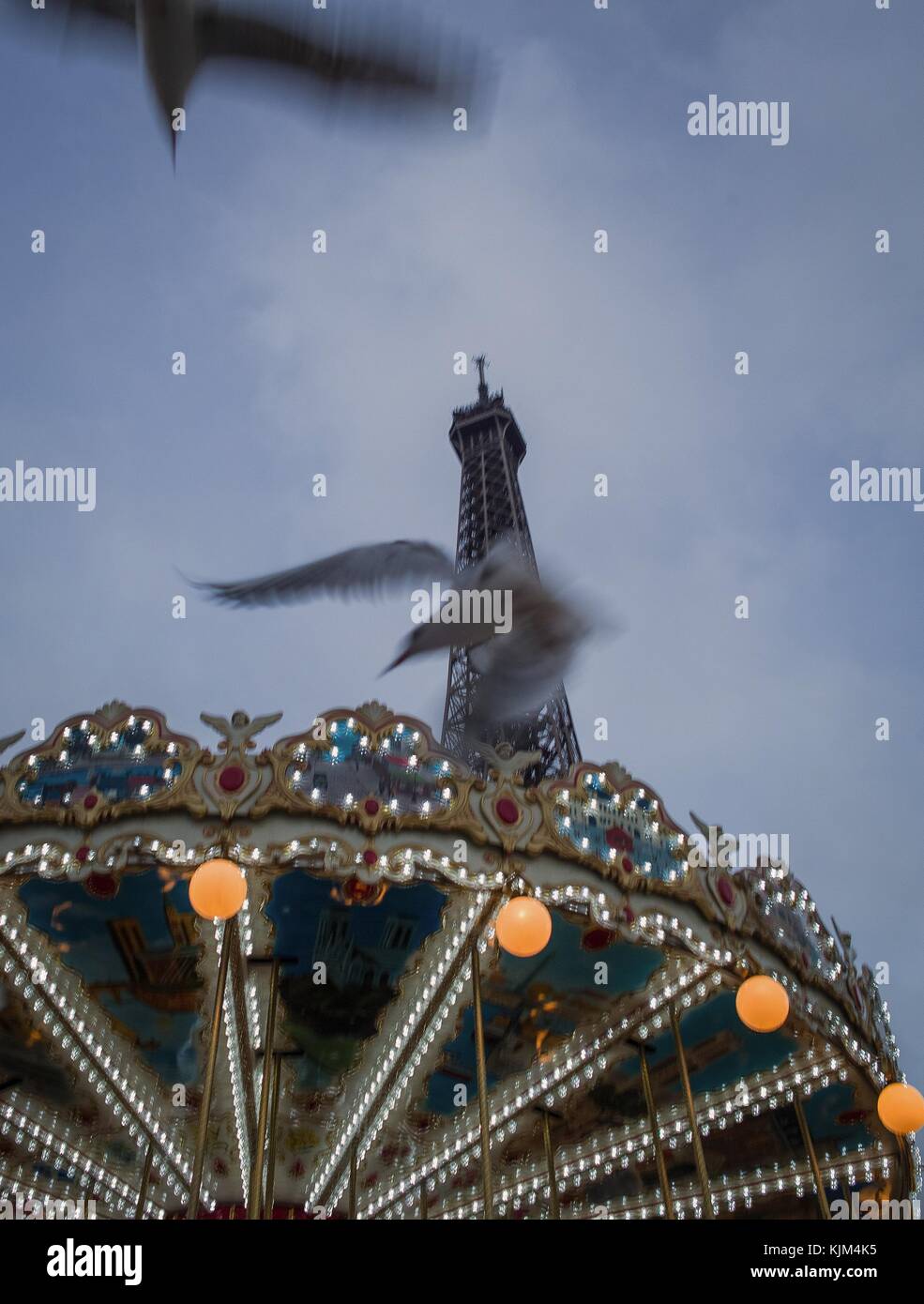 Eiffel Tower -  22/11/2012  -  France / Ile-de-France (region) / Paris  -  Eiffel Tower -  Time of seagulls at the foot of the Eiffel Tower in Paris, - Carousel with the foreground   -  Sylvain Leser / Le Pictorium Stock Photo