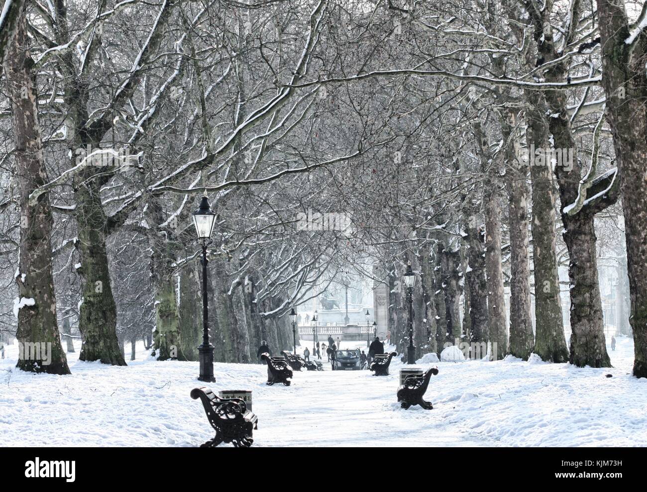 View of Hyde Park after a snowfall Stock Photo Alamy