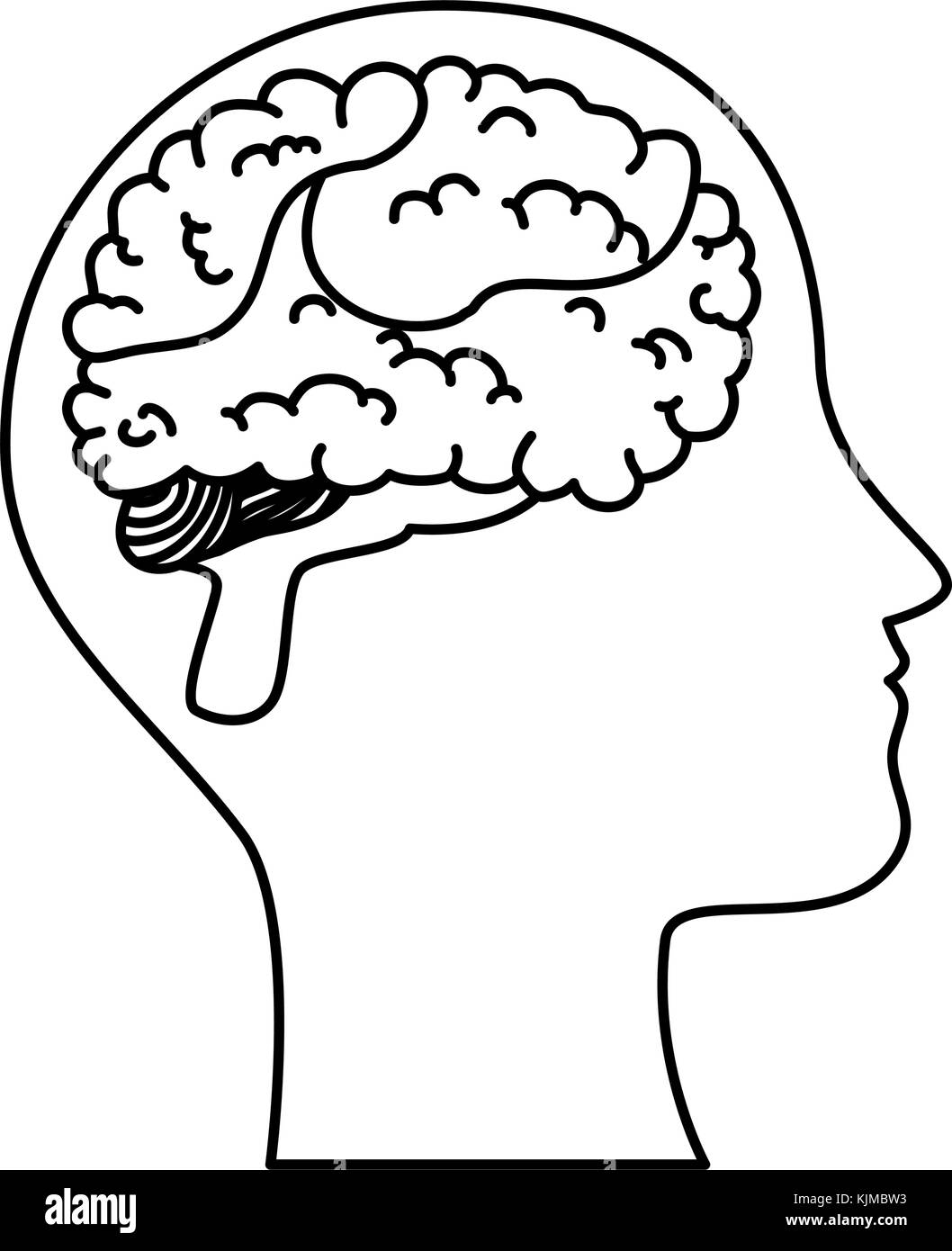 human profile with brain vector illustration design Stock Vector Image ...