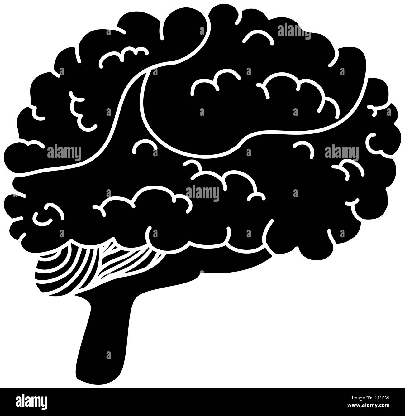 brain human isolated icon vector illustration design Stock Vector Image ...