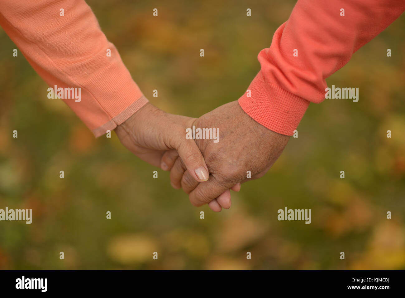 Elderly couple holding hands Stock Photo - Alamy