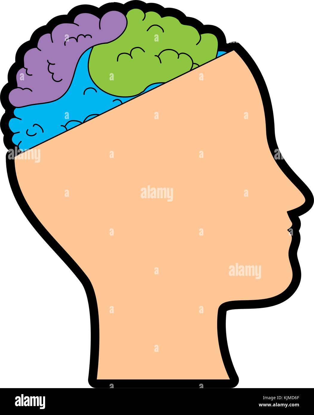 human profile with brain vector illustration design Stock Vector Image ...