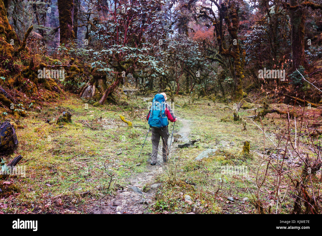 Hiker in Himalayas mountain. Nepal Stock Photo - Alamy
