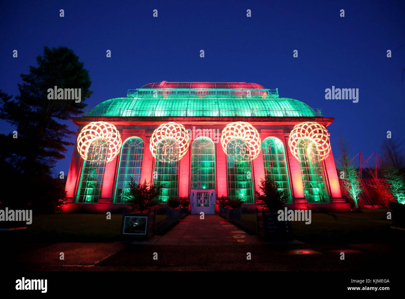 The Glass House show Lightworks is one of a series of light installations that feature in Christmas at the Botanics which is a one-mile illuminated trail through the Royal Botanic Garden Edinburgh. Stock Photo