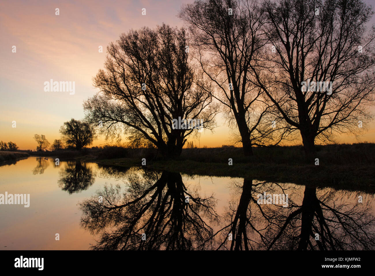 View along the Old West River (River Great Ouse) at dawn in November