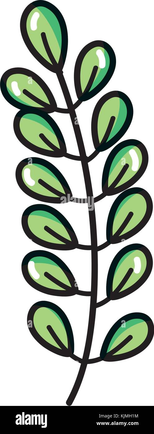 Isolated leaf design Stock Vector Image & Art - Alamy