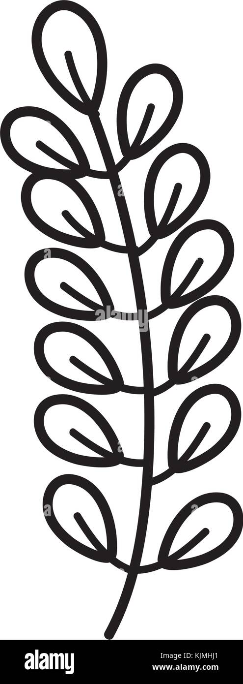 Isolated leaf design Stock Vector Image & Art - Alamy