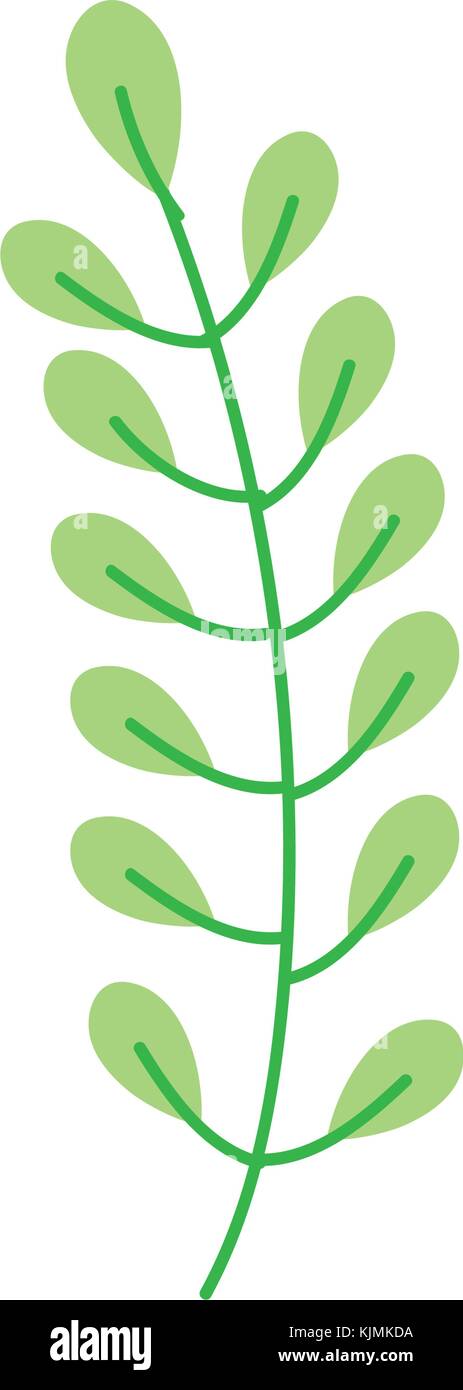 Isolated leaf design Stock Vector Image & Art - Alamy