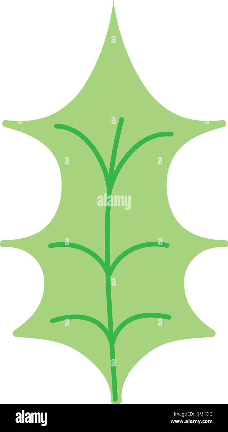 Isolated leaf design Stock Vector Image & Art - Alamy